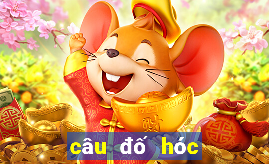 câu đố hóc búa hại não