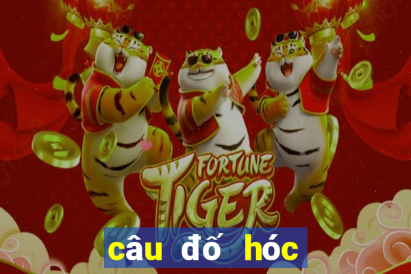 câu đố hóc búa hại não