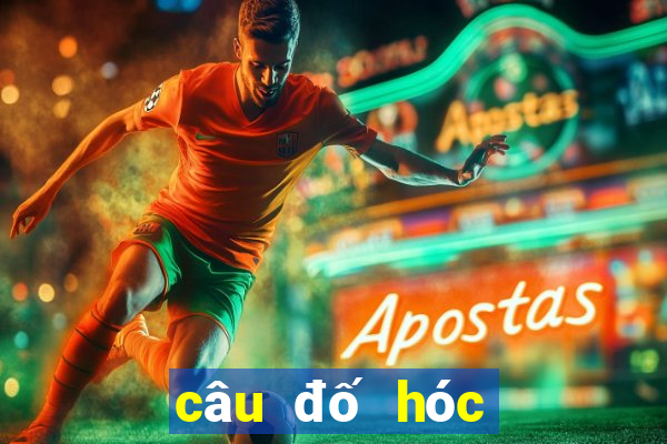 câu đố hóc búa hại não