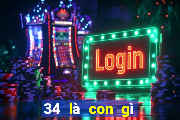 34 là con gì trong số đề