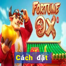 Cách đặt cược XSCT hôm nay