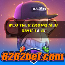 mậu thầu trong mậu binh là gì