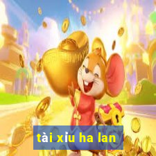 tài xỉu ha lan