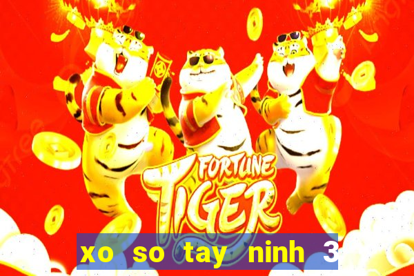 xo so tay ninh 3 2 2024