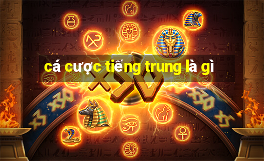 cá cược tiếng trung là gì