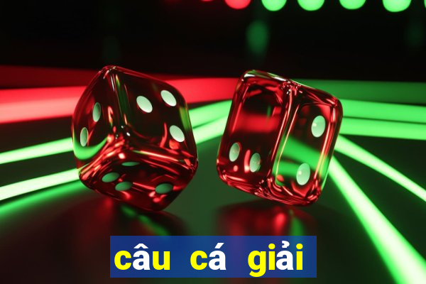 câu cá giải trí ở vũng tàu