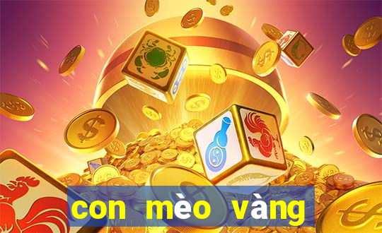 con mèo vàng số mấy