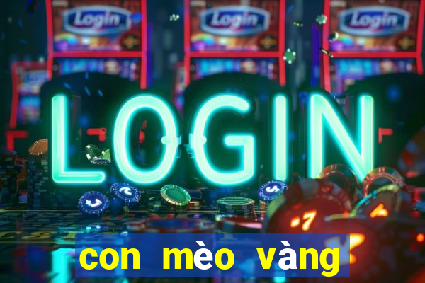 con mèo vàng số mấy