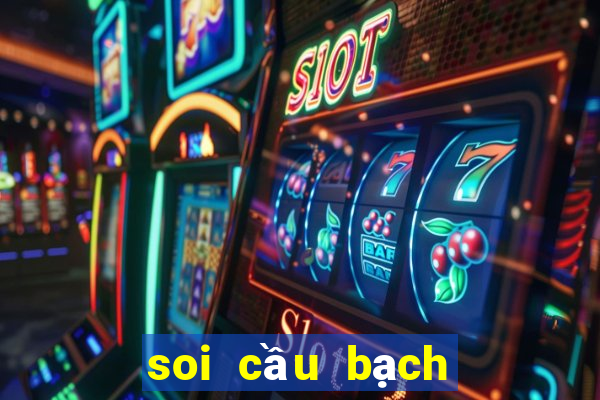 soi cau bach thu mien nam