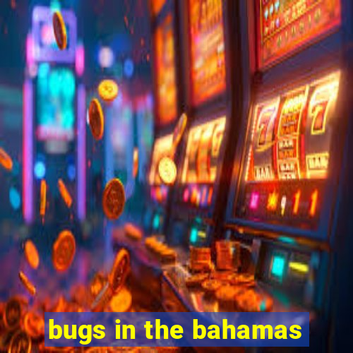 bugs in the bahamas