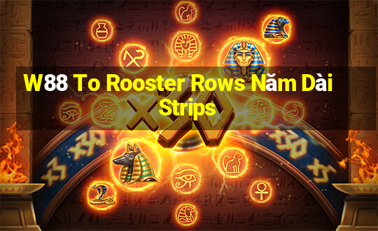 W88 To Rooster Rows Năm Dài Strips