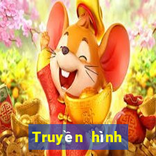 Truyền hình Việt nam bbin