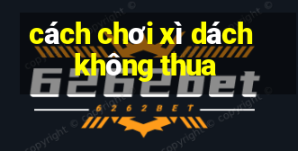 cách chơi xì dách không thua