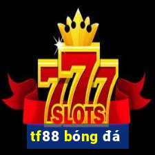 tf88 bóng đá