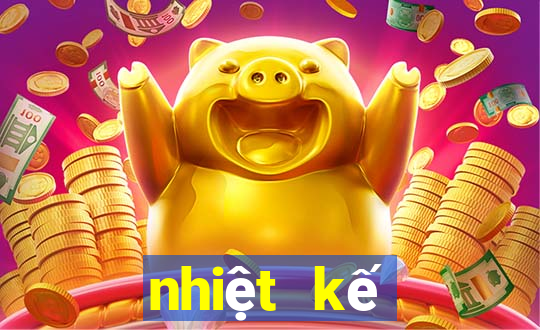 nhiệt kế điện tử