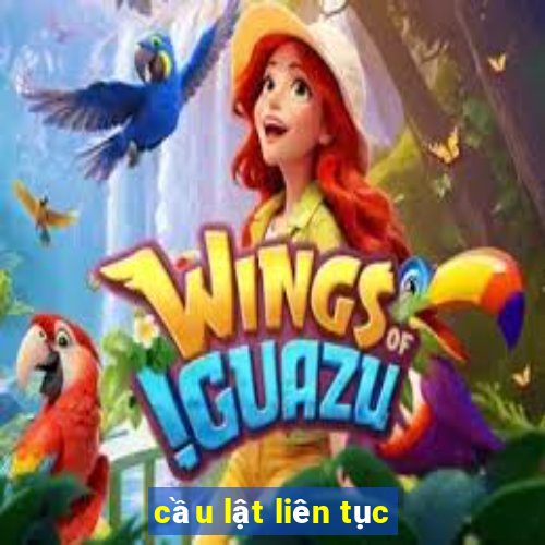 cầu lật liên tục