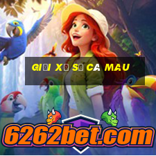 giải xổ số cà mau