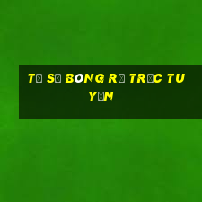 tỷ số bóng rổ trực tuyến