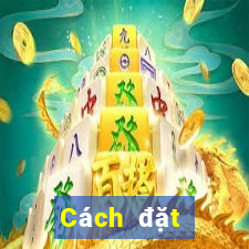 Cách đặt cược XSMT ngày 31