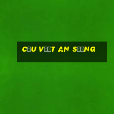 cầu vượt an sương