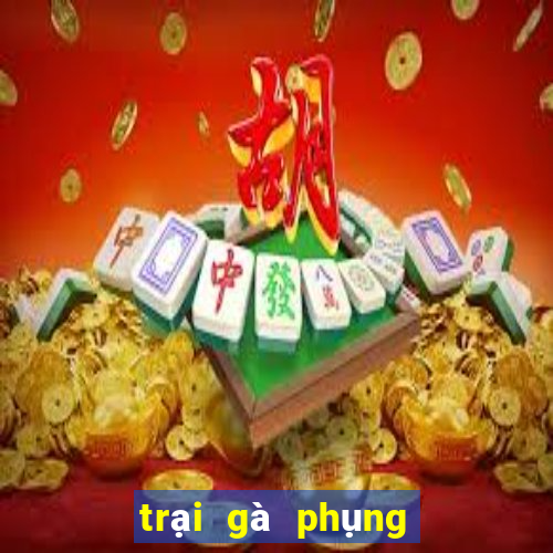 trại gà phụng hoàng kê 2024