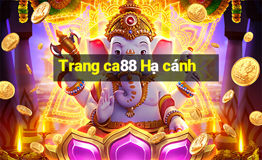 Trang ca88 Hạ cánh