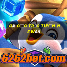 Cá cược trực tuyến new88