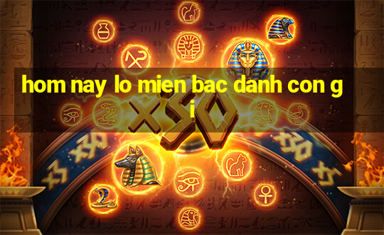 hom nay lo mien bac danh con gi