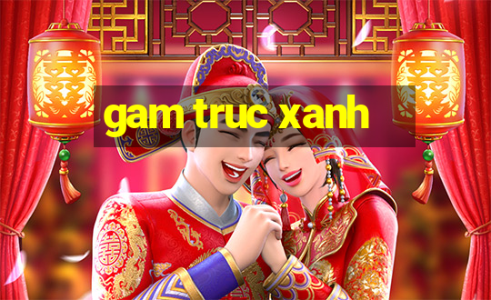 gam truc xanh