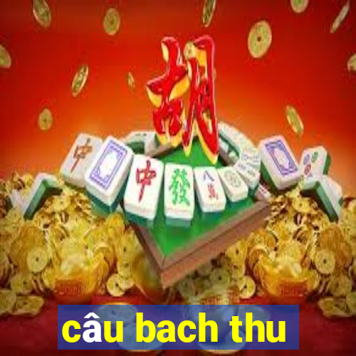 câu bach thu