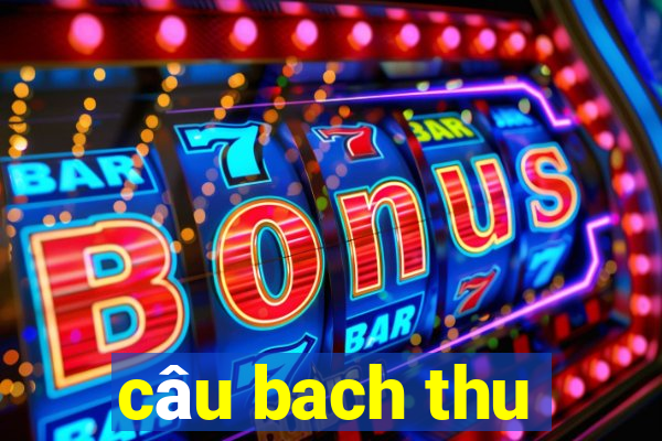 câu bach thu