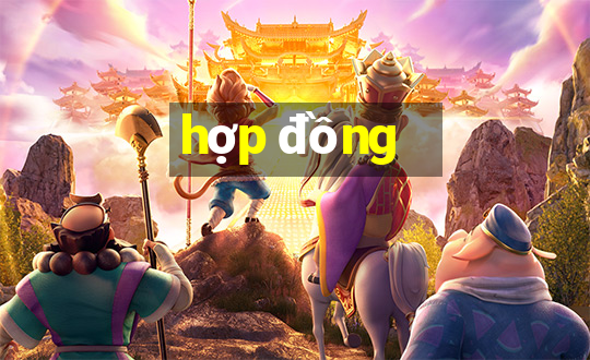 hợp đồng