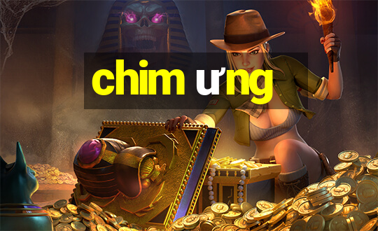 chim ưng