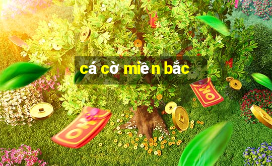 cá cờ miền bắc