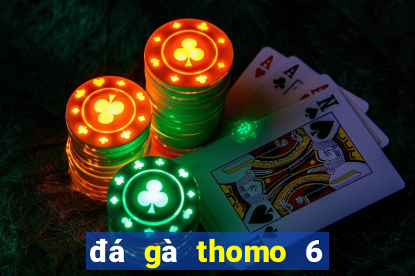 đá gà thomo 6 tháng 11 năm 2003