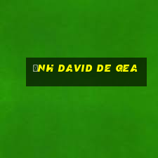 ảnh david de gea