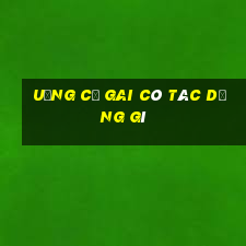 uống củ gai có tác dụng gì