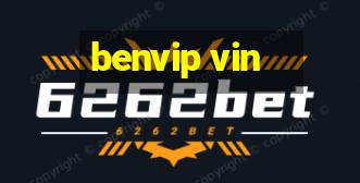 benvip vin