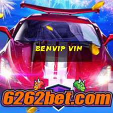 benvip vin