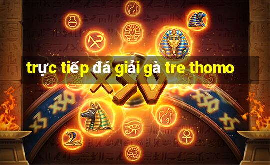 trực tiếp đá giải gà tre thomo