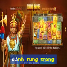 đánh rung trong bóng đá là gì