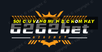 soi cầu vàng miền bắc hôm nay