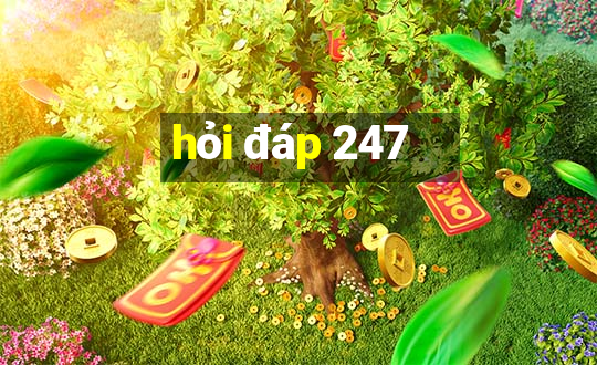 hỏi đáp 247