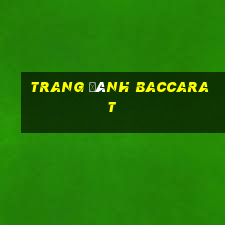 Trang đánh Baccarat