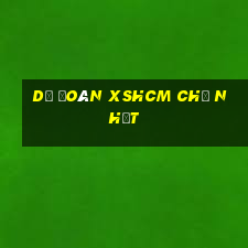 Dự đoán XSHCM Chủ Nhật