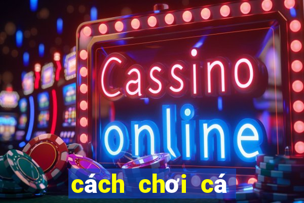 cách chơi cá độ bóng đá