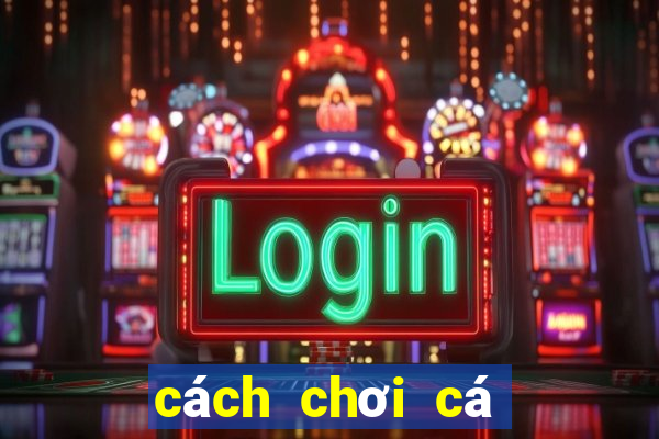 cách chơi cá độ bóng đá