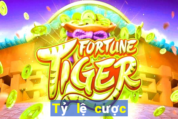 Tỷ lệ cược sòng bạc trực tuyến