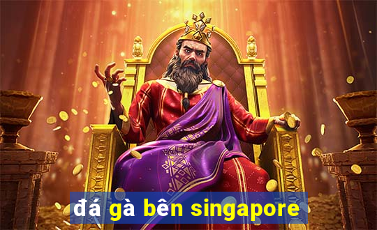 đá gà bên singapore