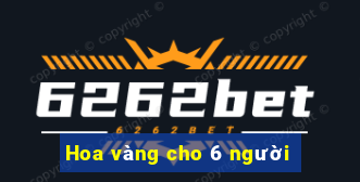 Hoa vàng cho 6 người